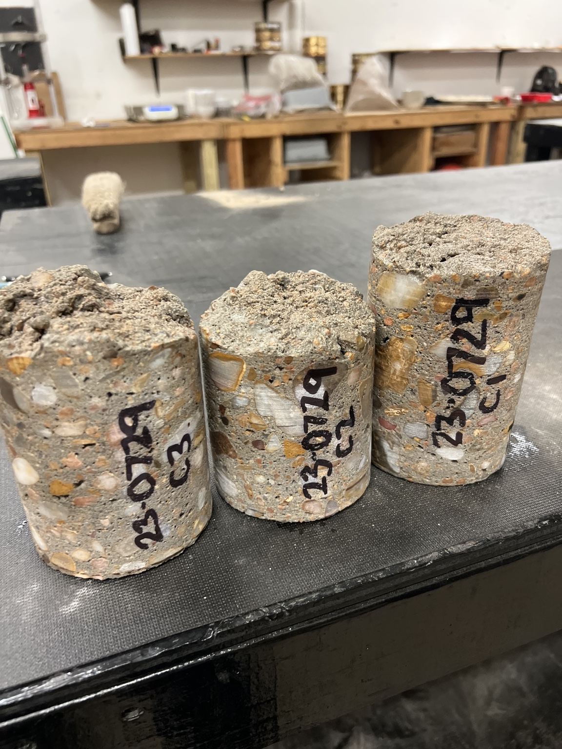 Concrete core specimens in laboratory
